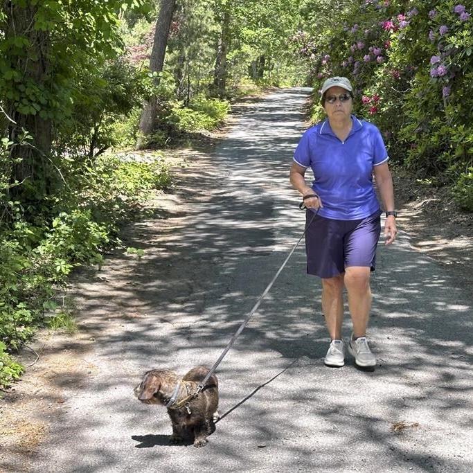 Martha's Vineyard is about to run out of pot. That's led to a lawsuit and a scramble by regulators